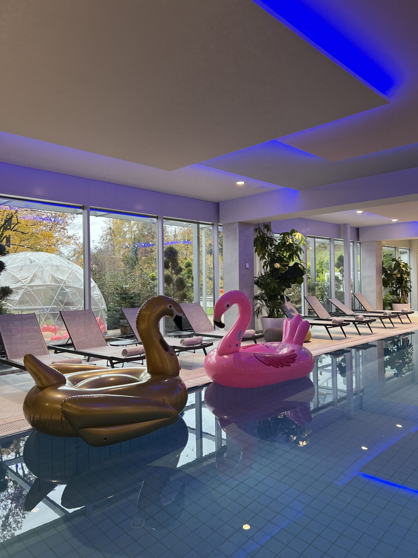 Bled Rose Hotel – večerja v mehurčku Bled Rose Hotel – večerja v mehurčku